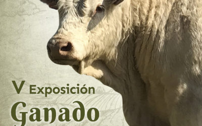 V Exposición de Ganado Selecto en La Fuente de San Esteban