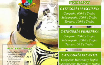 XXXI Campeonato de fútbol sala
