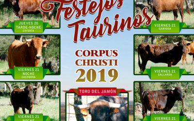 Festejos Taurinos Corpus Christi 2019