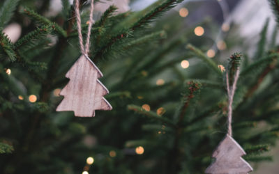 Programa de actividades Navidad 2019