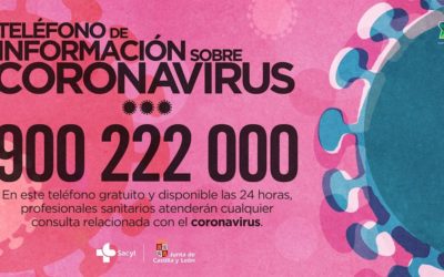 Organización para la atención desde los Servicios Sociales ante la Situación de Emergencia COVID 19