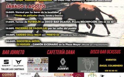 Cartel de fiesta La Fuente de San Esteban 2024