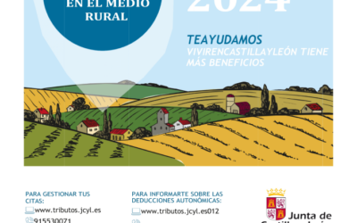 Campaña de la renta 2024