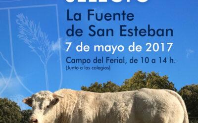 IV Exposición de ganado selecto