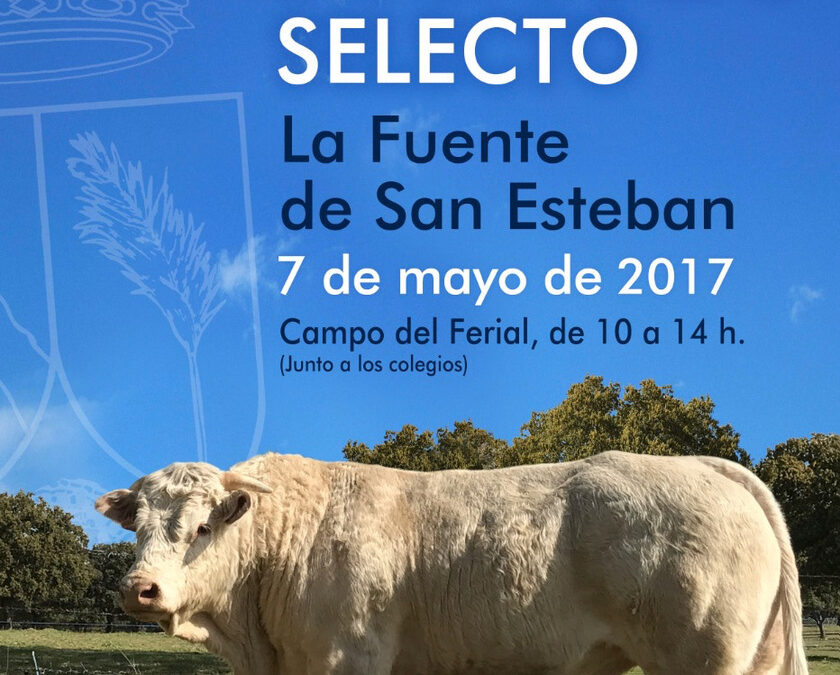 IV Exposición de ganado selecto