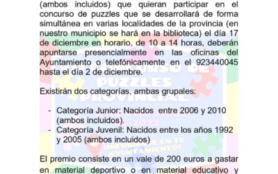 VII Concurso de Puzzles provincial